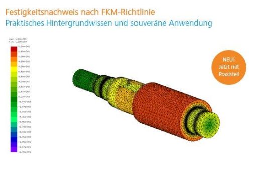 Festigkeitsnachweis nach FKM-Richtlinie