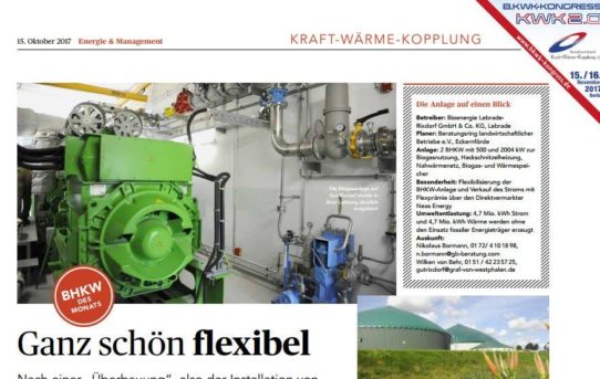 Bessere Flexibilität bei Biogas-BHKW-Anlagen