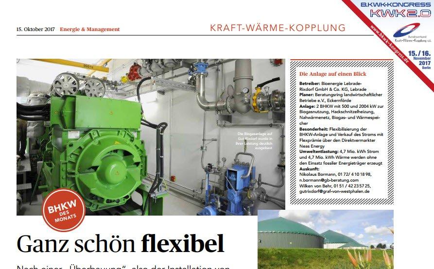 Bessere Flexibilität bei Biogas-BHKW-Anlagen