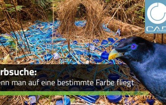 Jetzt kommt Farbe ins Spiel – Mit der Farbsuche innerhalb PARTsolutions Komponenten finden