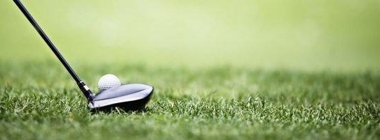 Grüner Daumen hoch: 3D BIM CAD Modelle der Grasscalm Kunstrasensperre auf BIMcatalogs.net verfügbar