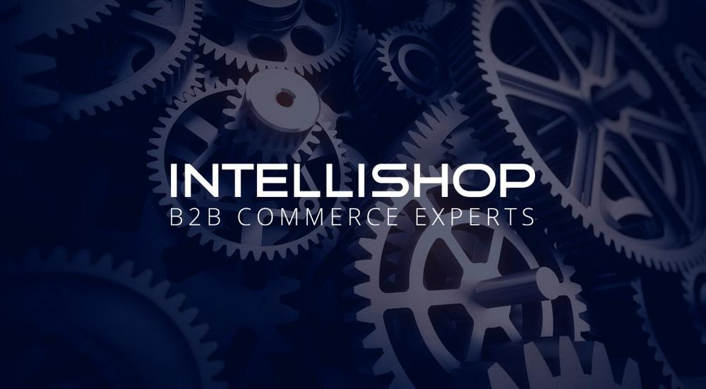 Systemintegration mit IntelliShop: B2B E-Commerce im Maschinenbau