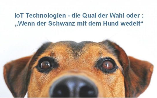 IoT-Technologien – die Qual der Wahl oder: „wag the dog“ – wenn der Schwanz mit  dem Hund wedelt! (Webinar | Online)