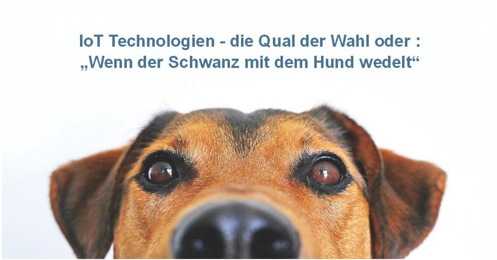 IoT-Technologien - die Qual der Wahl oder: "wag the dog" - wenn der Schwanz mit  dem Hund wedelt! (Webinar | Online)