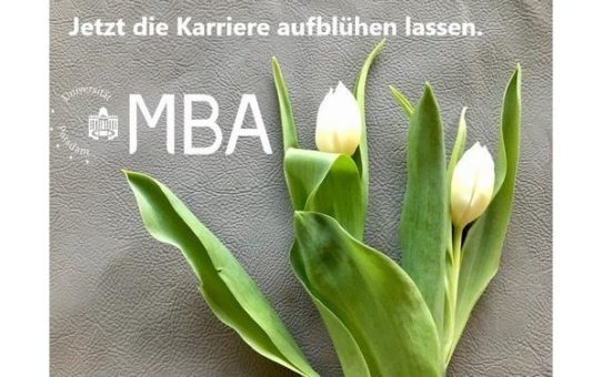 Online-Infoveranstaltung zum Master of Business Administration (MBA) an der Universität Potsdam (Webinar | Online)