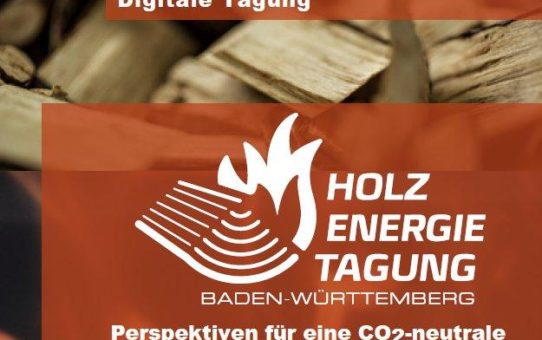 Holzenergie-Tagung 2021 (Sonstige Veranstaltung | Online)