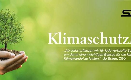 Klimaschutzprojekt – Samsys setzt Zeichen für die Nachhaltigkeit und pflanzt Bäume