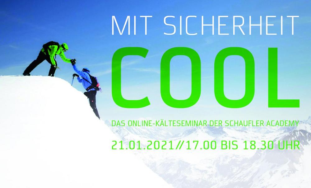 Fachwissen Kältetechnik für Nichtexperten: kostenfreies Online-Kälteseminar der SCHAUFLER Academy