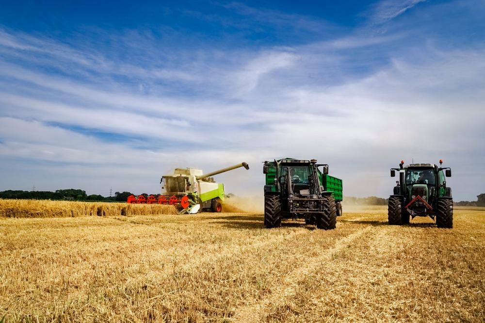 Basis der Ernährungsmittelindustrie - die Landwirtschaft