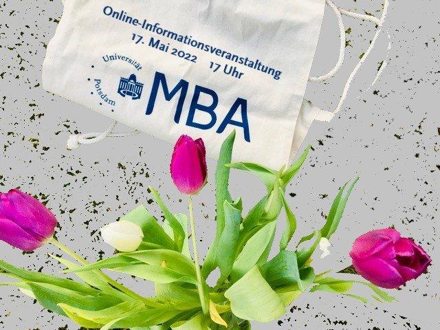 Online-Infoveranstaltung zum Master of Business Administration (MBA) an der Universität Potsdam (Webinar | Online)