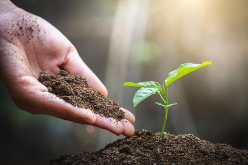 Service im B2B: So schaffen Sie eine bessere Kundenbindung
