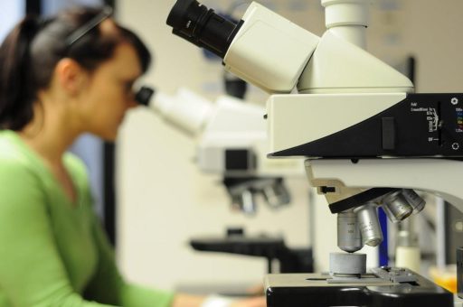 Zuverlässige Werkstoffanalysen an Metall nach höchsten Standards