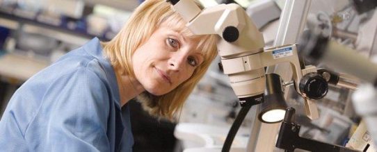 VDMA Ost: Anteil der Ingenieure im ostdeutschen Maschinenbau höher als in alten Bundesländern