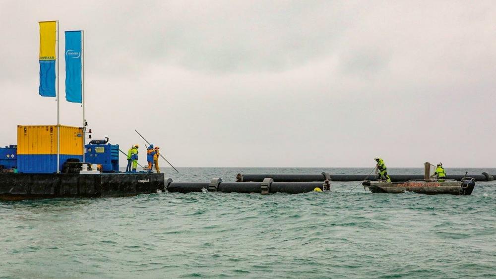 Im Kampf gegen die Quaggamuschel