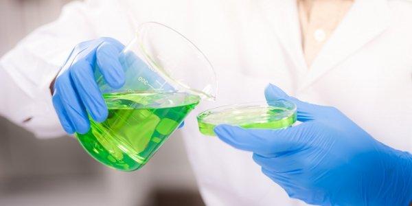 Bluestone auf der SurfaceTechnology GERMANY 2026